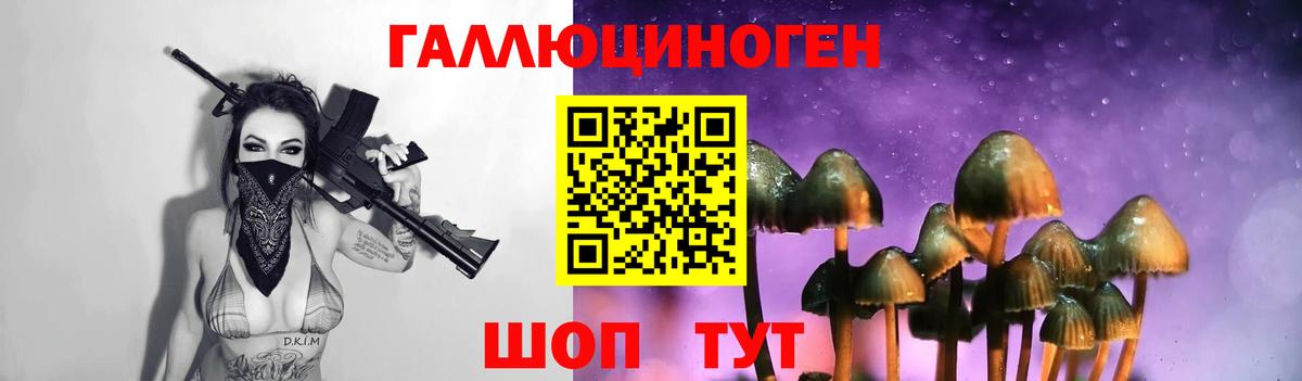 Джанкой  Галлюциногенные грибы GOLDEN TEACHER  Вход с VPN  Галлюциногенные грибы Psilocybine cubensis 